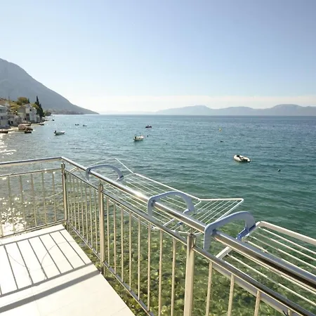 招待所 House Zvonko